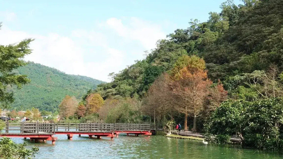望龍埤